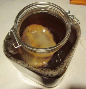 SCOBY making Kombucha Tea