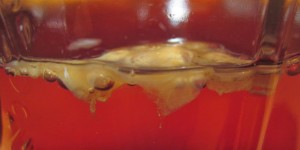 Growing the SCOBY for Kombucha