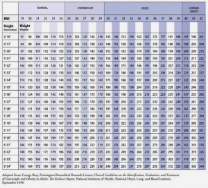 Obesity Scale and BMI