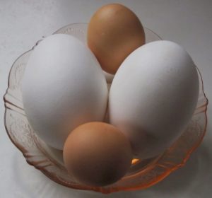 Goose Eggs for Healthy Fats